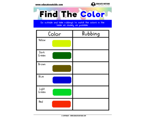 Materials: Color Rubbings