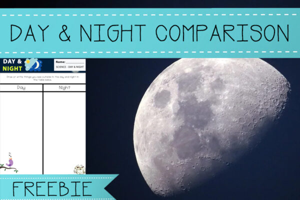 Earth, Moon and Sun Activity