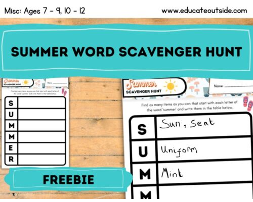 Summer Word Scavenger Hunt - Summer Activity / Worksheet