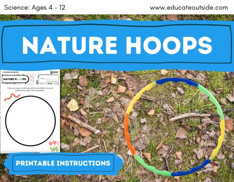 Habitats Survey – Outdoor Biodiversity Lesson - Animals and Nature