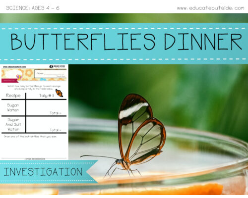 Butterflies Dinner Investigation