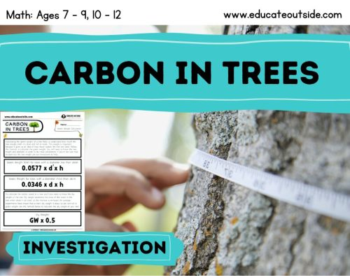 Carbon In Trees - Measurement & Data Handling - Sustainability