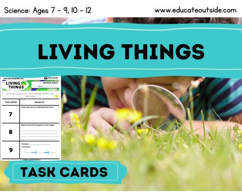 Living Things Outdoor Task Cards