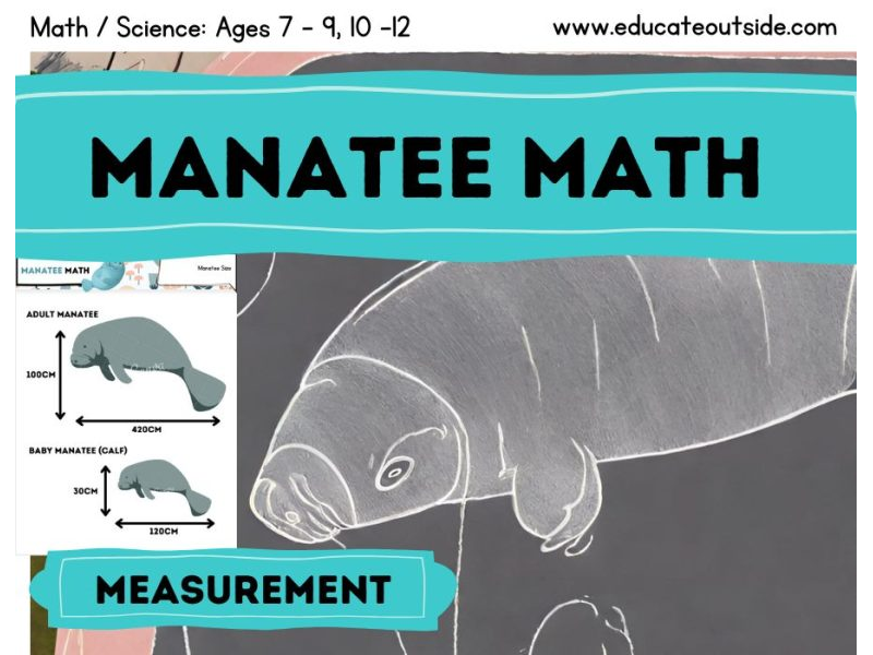 Manatee Math - Measurement and Scaling