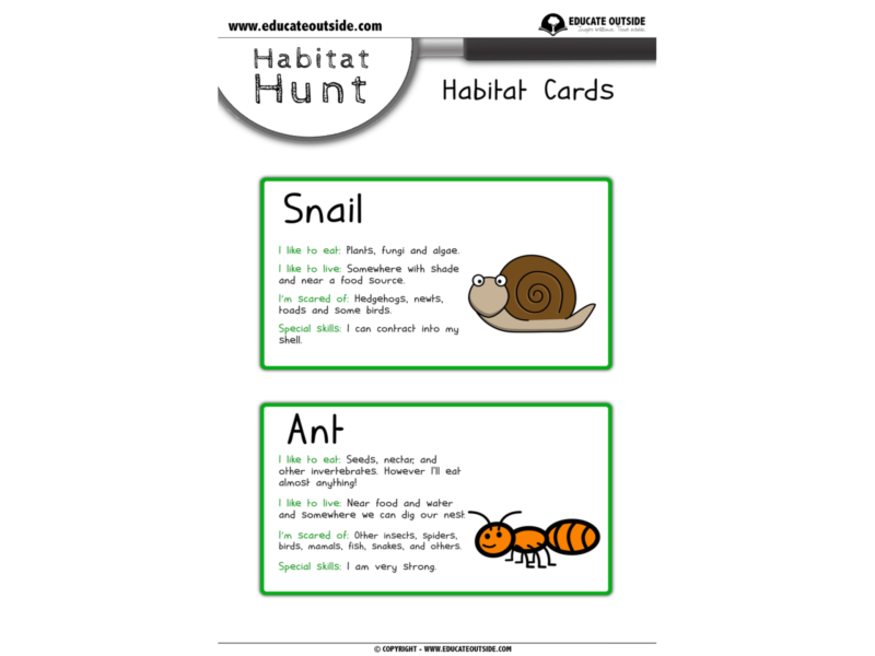Habitats: Habitat Hunt