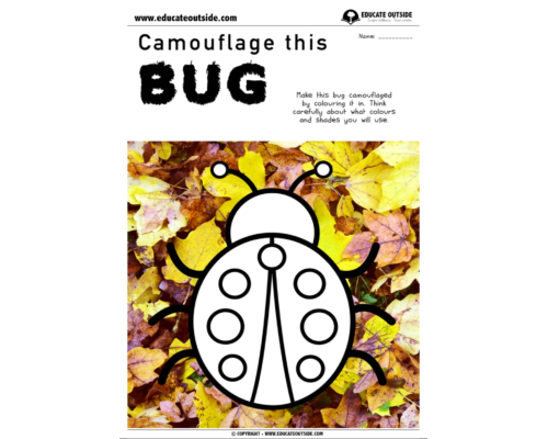 Camouflage: Find My Bug