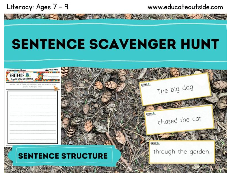 Sentence Structure Scavenger Hunt - Sentence Construction