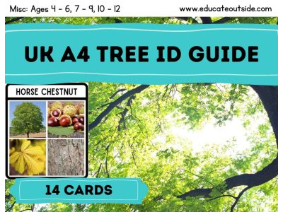 UK A4 Tree Identification Guide Cards