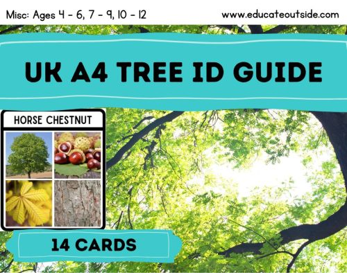 UK A4 Tree Identification Guide Cards