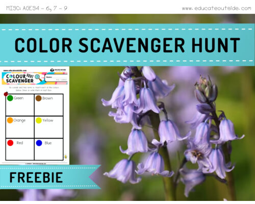 Color Scavenger Hunt