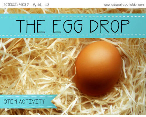 Gravity Investigation - STEM Activity - The Egg Drop