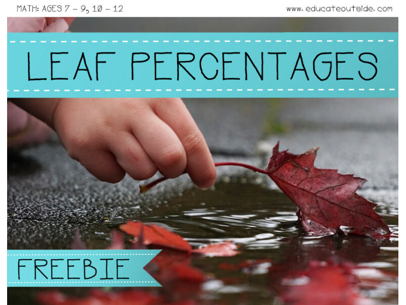 Leaf Percentages: Percentages, Decimals, and Fractions Activity