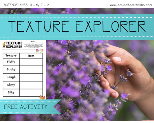 Materials And Their Properties - Texture Scavenger Hunt