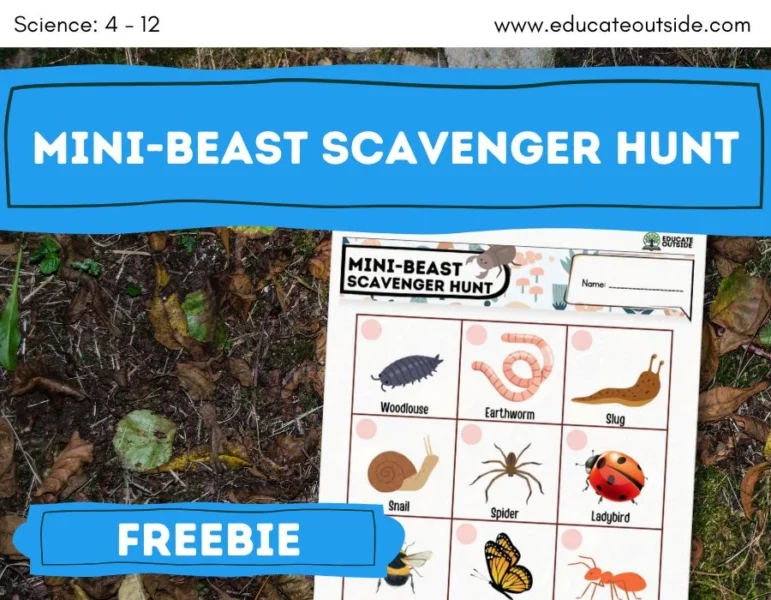 Mini-Beast Scavenger Hunt - Insect Scavenger Hunt - Habitats