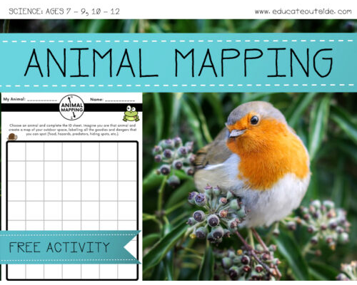 Animal Mapping