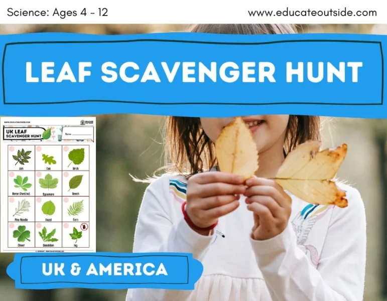 Leaf Scavenger Hunt | Plants & Trees | Living Things