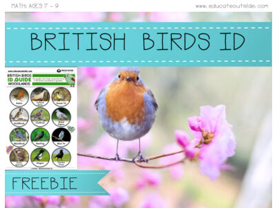 British Woodlands Bird ID Guide