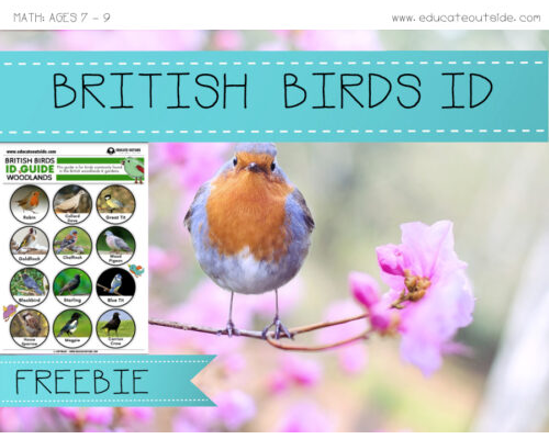 British Woodlands Bird ID Guide