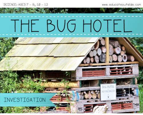 Bugs Hotel Research Project
