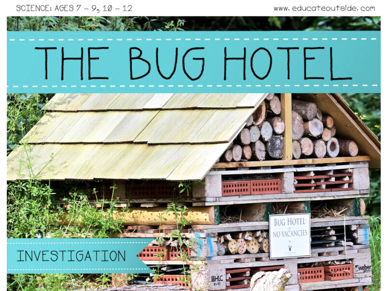 Bugs Hotel Research Project