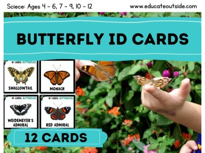 Butterfly ID Guide