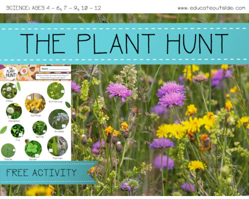 Plants Scavenger Hunt - Habitats Activity
