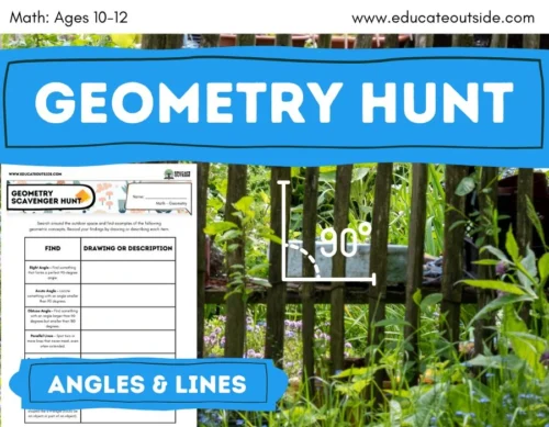 Geometry Scavenger Hunt | Angles, Symmetry and Shape