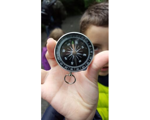 Compass Directions - Where Am I?