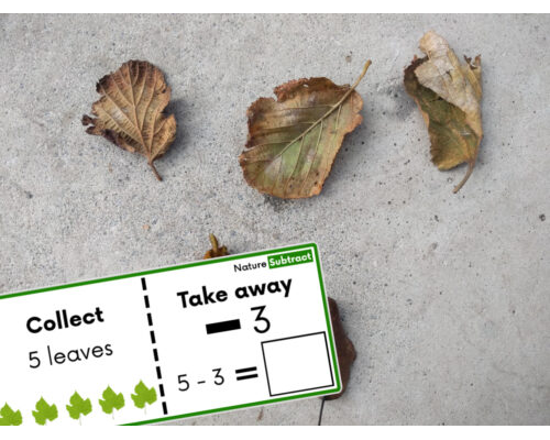 Nature Subtraction Task Cards
