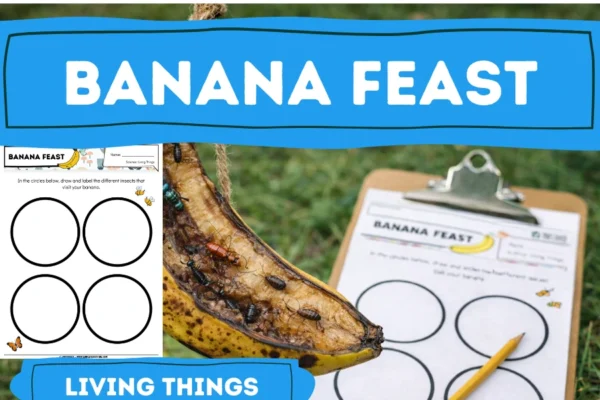 Living Things Science Lesson Ideas