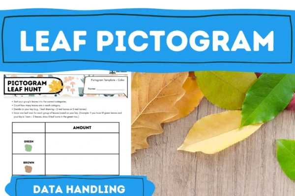 Pictogram Lesson Lower Key Stage 2