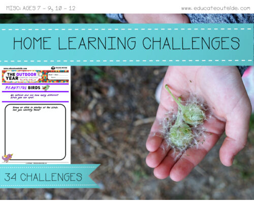 Home Learning Outdoor Challenges - One Year Activity Pack