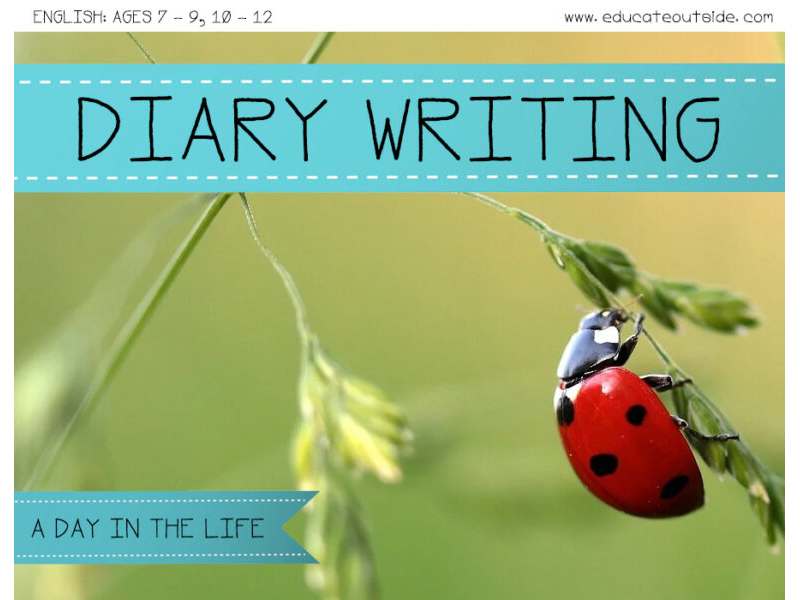 Diary Writing: A Day In The Life Of A Bug