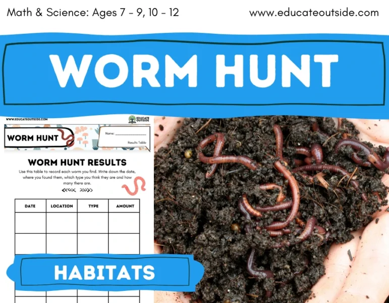 Worm Hunt | Habitats, Decomposers, Soil & Data Handling Lesson