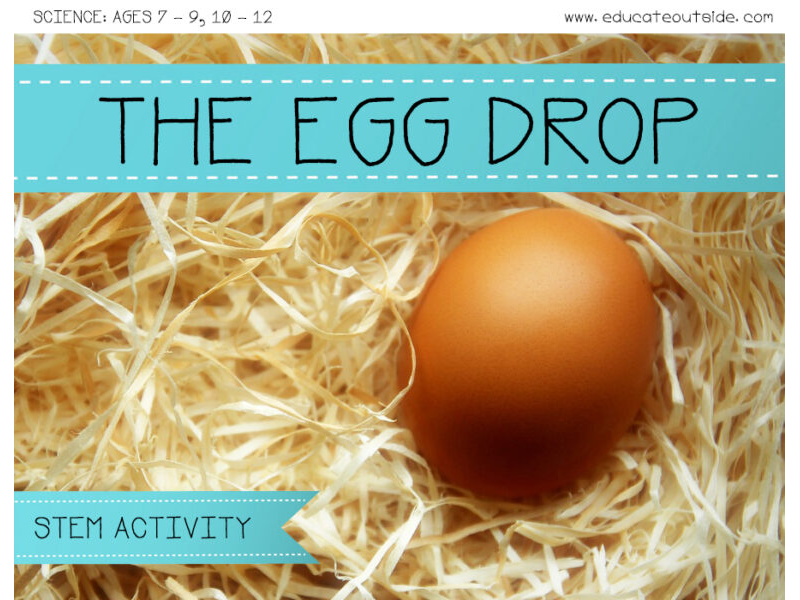 The Egg Drop - STEM Activity