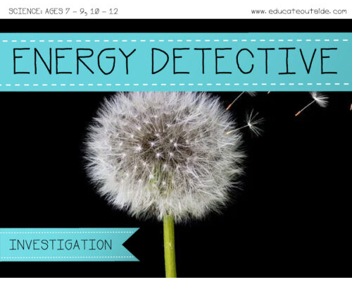 Energy Detectives