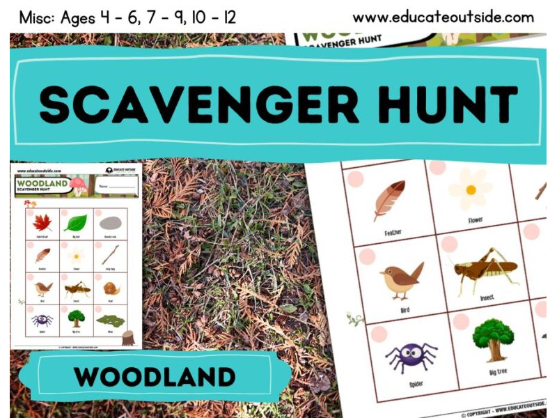 Woodland Scavenger Hunt