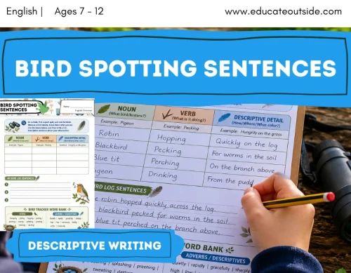 Outdoor Descriptive Writing Activity | Nouns and Verbs | Bird Spotting