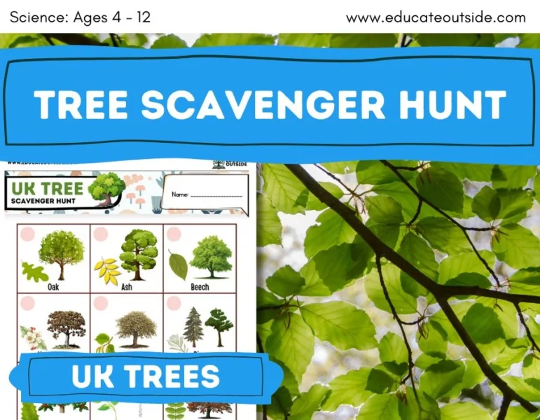 UK Tree Scavenger Hunt | Living Things | Summer Activities