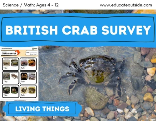 British Crab Survey | Beach Trip Activity | Data Handling | Tally Charts | Living Things