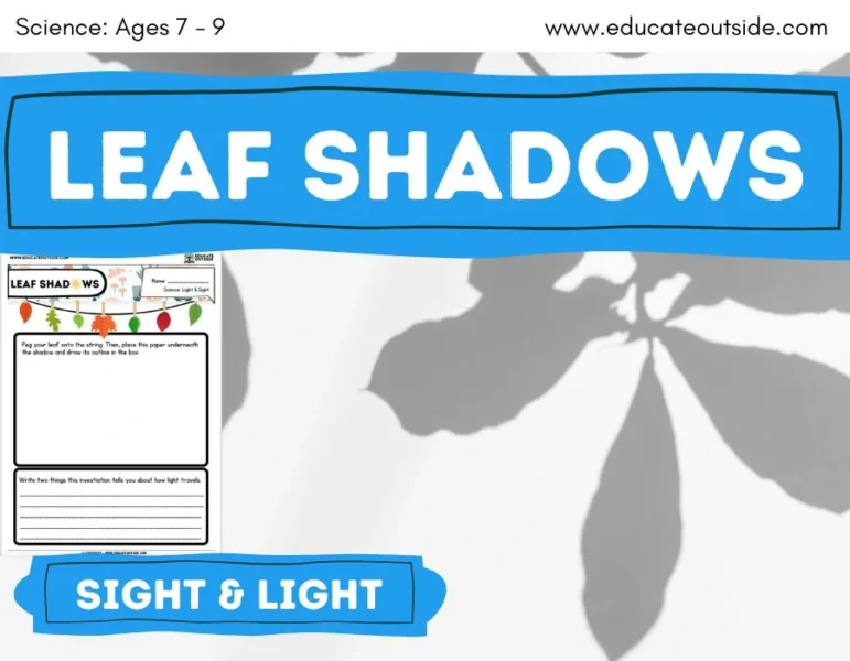 Shadow Investigation | Light and Sight  | Leaf Shadows