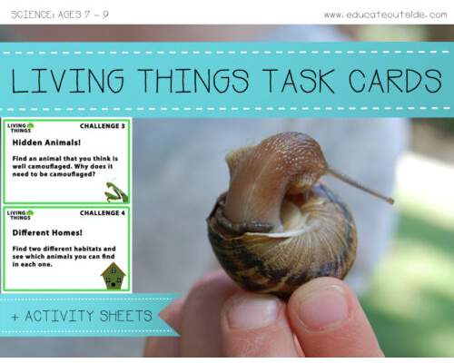Living Things Outdoor Task Cards