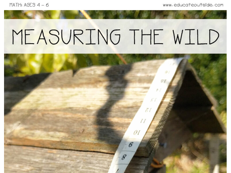 Measuring The Wild