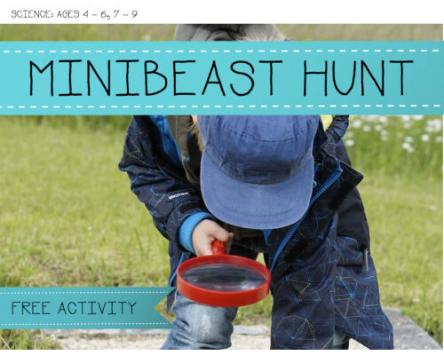 Minibeast Hunt