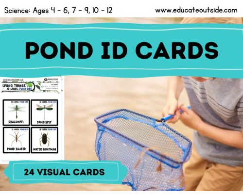 Pond Life ID Cards / Guide