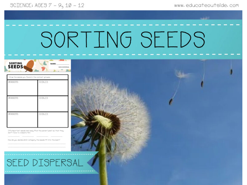 Seed Dispersal: Sorting Seeds