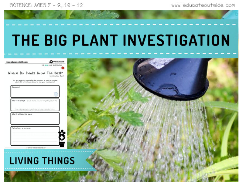 Plants: Growth Investigation
