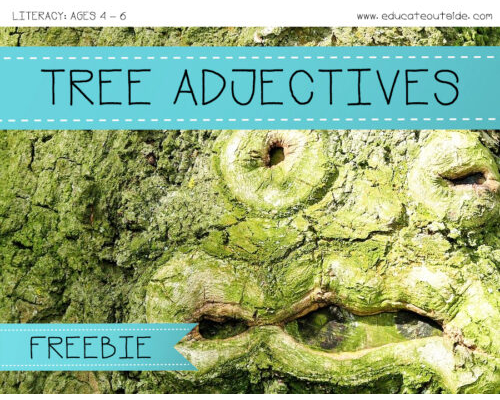 Tree Adjectives