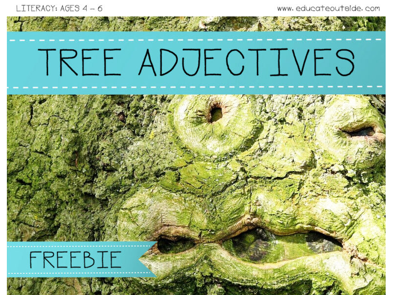 Tree Adjectives