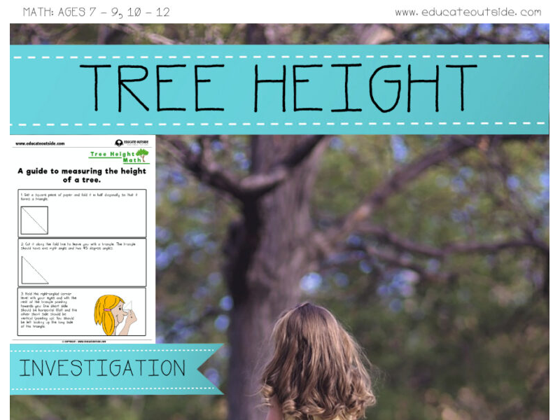 Measurement: Tree Height